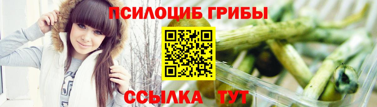 Галлюциногенные грибы Psilocybine cubensis  Вход с VPN  Орск 